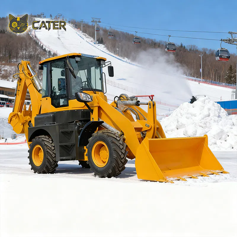 CJ 30-25